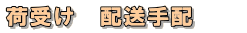 ׎󂯁@zz@@